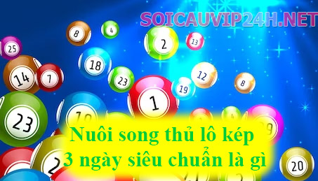 Bạn đã biết nuôi song thủ lô kép 3 ngày siêu chuẩn là gì chưa