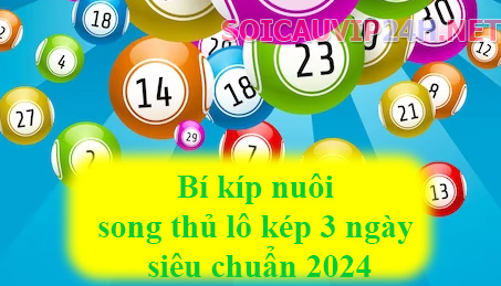 Bỏ túi ngay những bí kíp nuôi song thủ lô kép 3 ngày siêu chuẩn